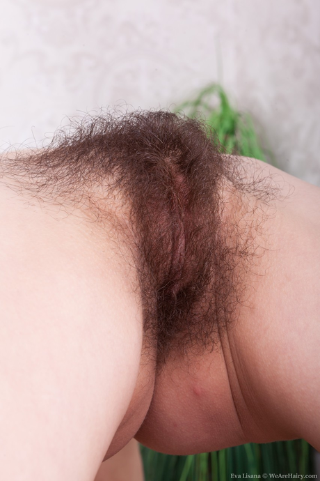 Hairy porn picture - 21 Hairy porn picture - 21
