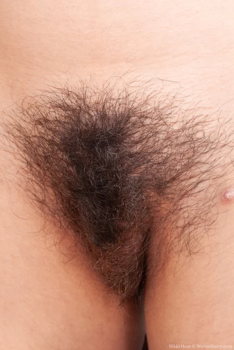 Amateur model Nikki Heat shows her hairy armpits and pussy - 7 Amateur model Nikki Heat shows her hairy armpits and pussy - 7