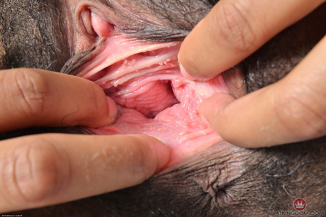 Black hairy cunt - 16 Black hairy cunt - 16