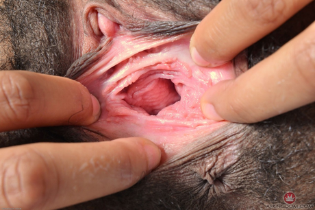 Black hairy cunt - 17 Black hairy cunt - 17