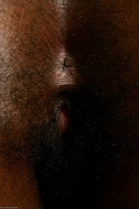 Black Nigerian hairy pussy photo - 17 Black Nigerian hairy pussy photo - 17
